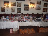 /album/farni-ples-28-1-2011/img-0342-jpg/