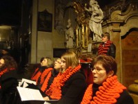 /album/bila-sobota-7-4-2012/dsc04375-jpg/